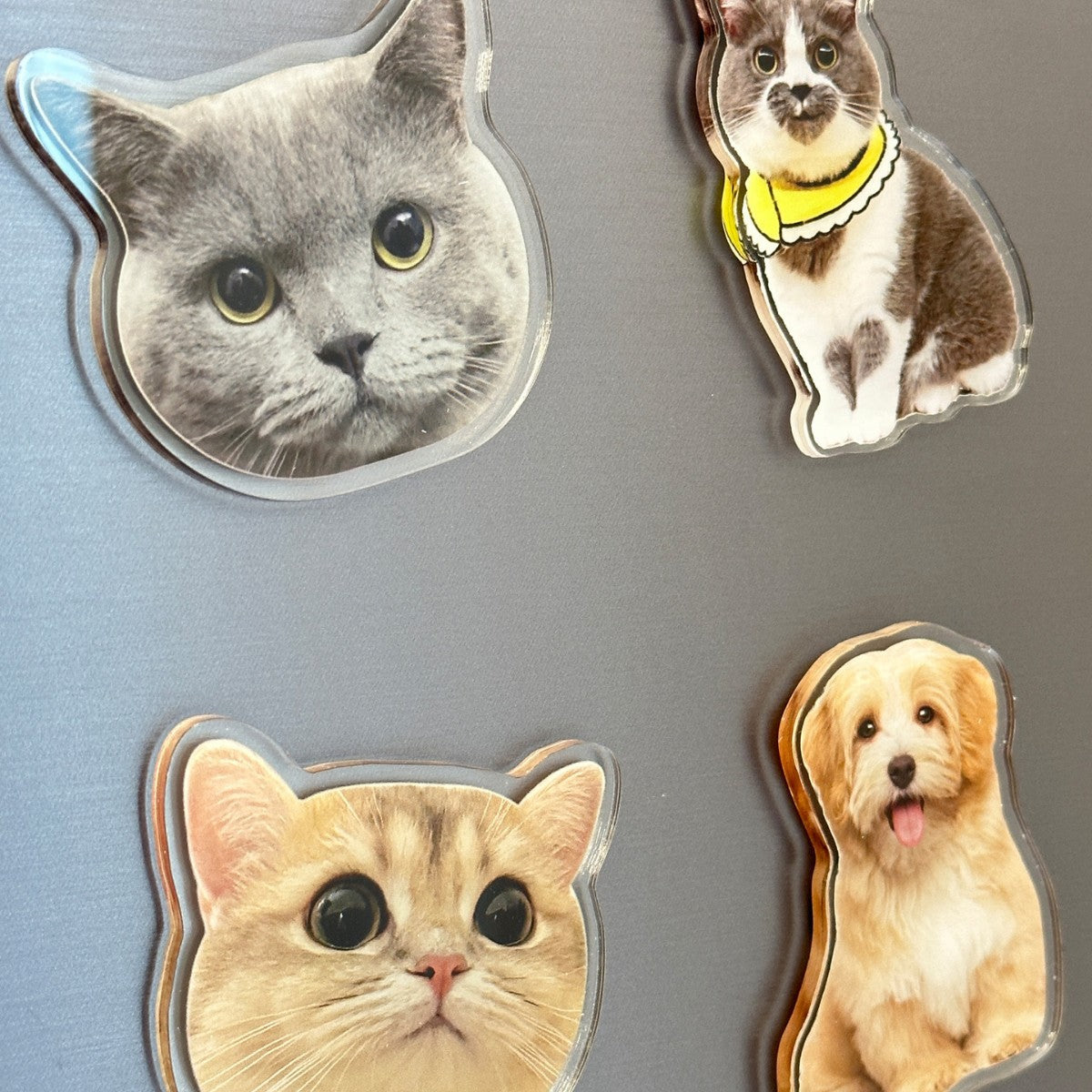 Custom Fridge magnet