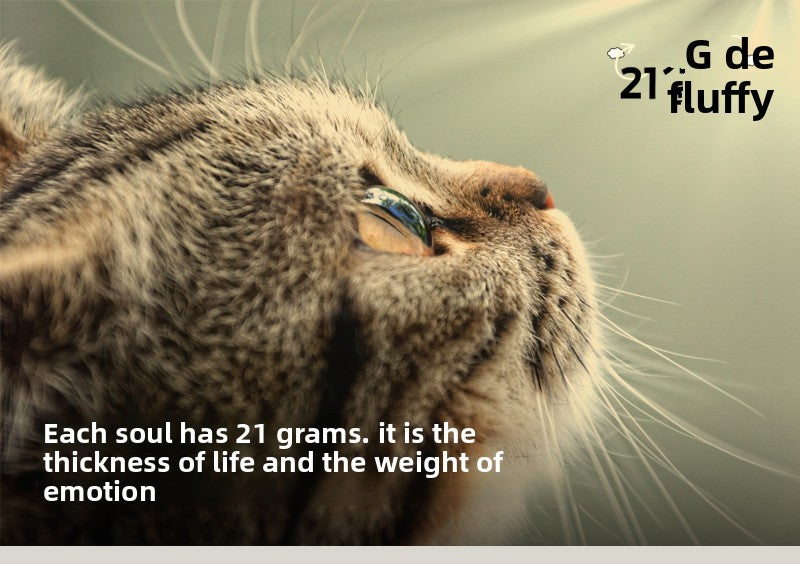 Pet memorial photo frame